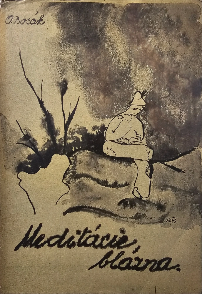 Meditácie blázna
