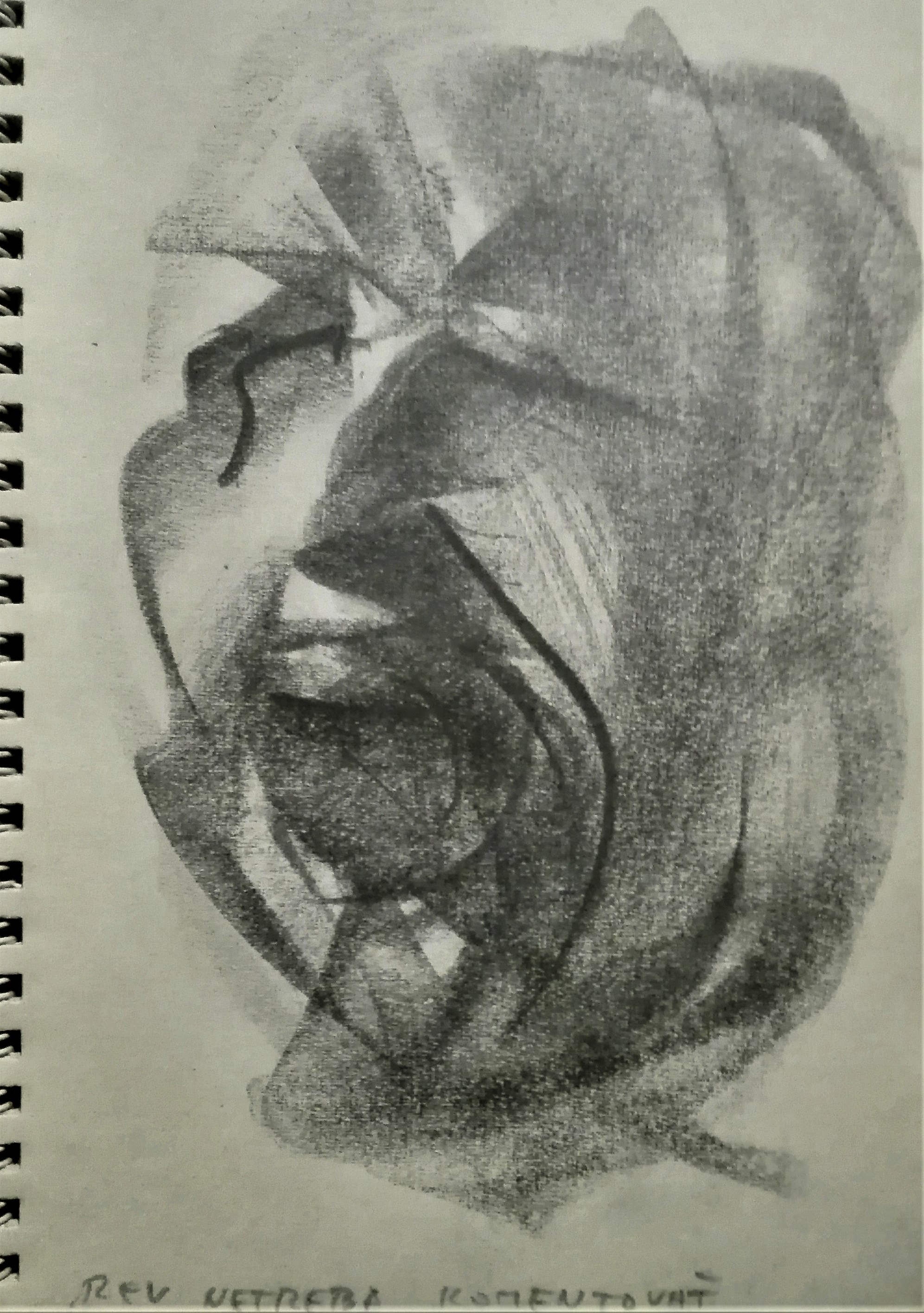 Rudolf Fila: Automatické kresby podľa plastík F. X. Messerschmidta