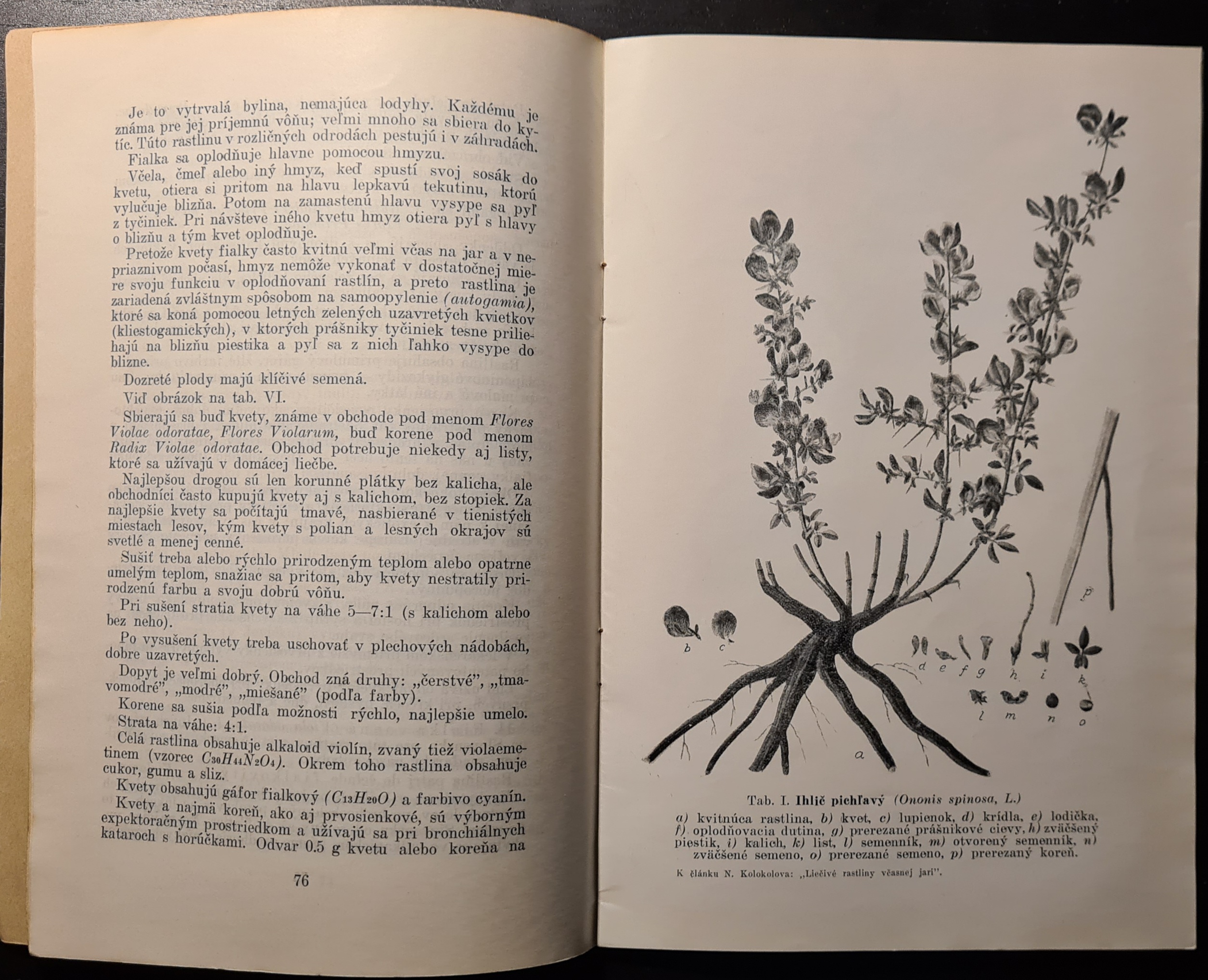 Slovenské liečivé rastliny (I. ročník / 3. číslo)