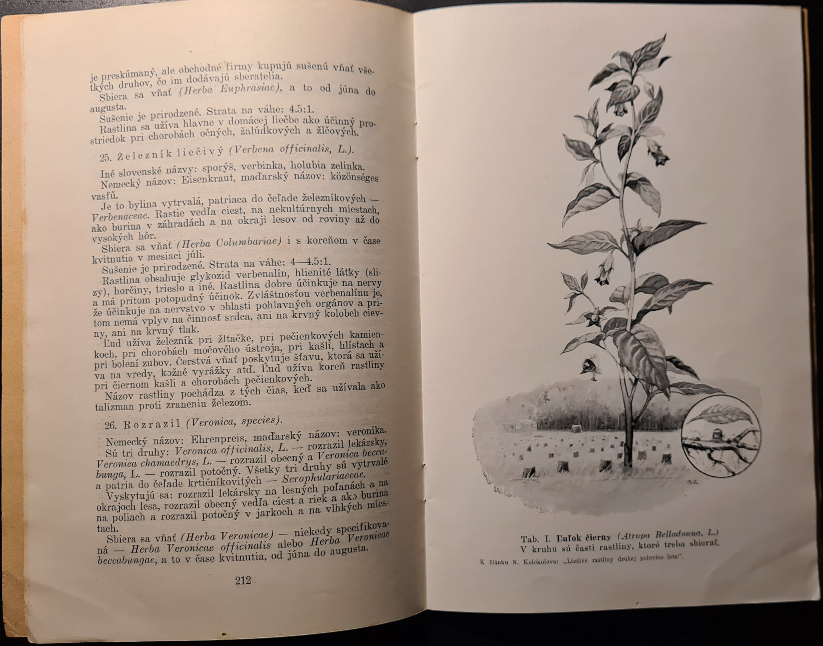 Slovenské liečivé rastliny (I. ročník / 7.-8. číslo)