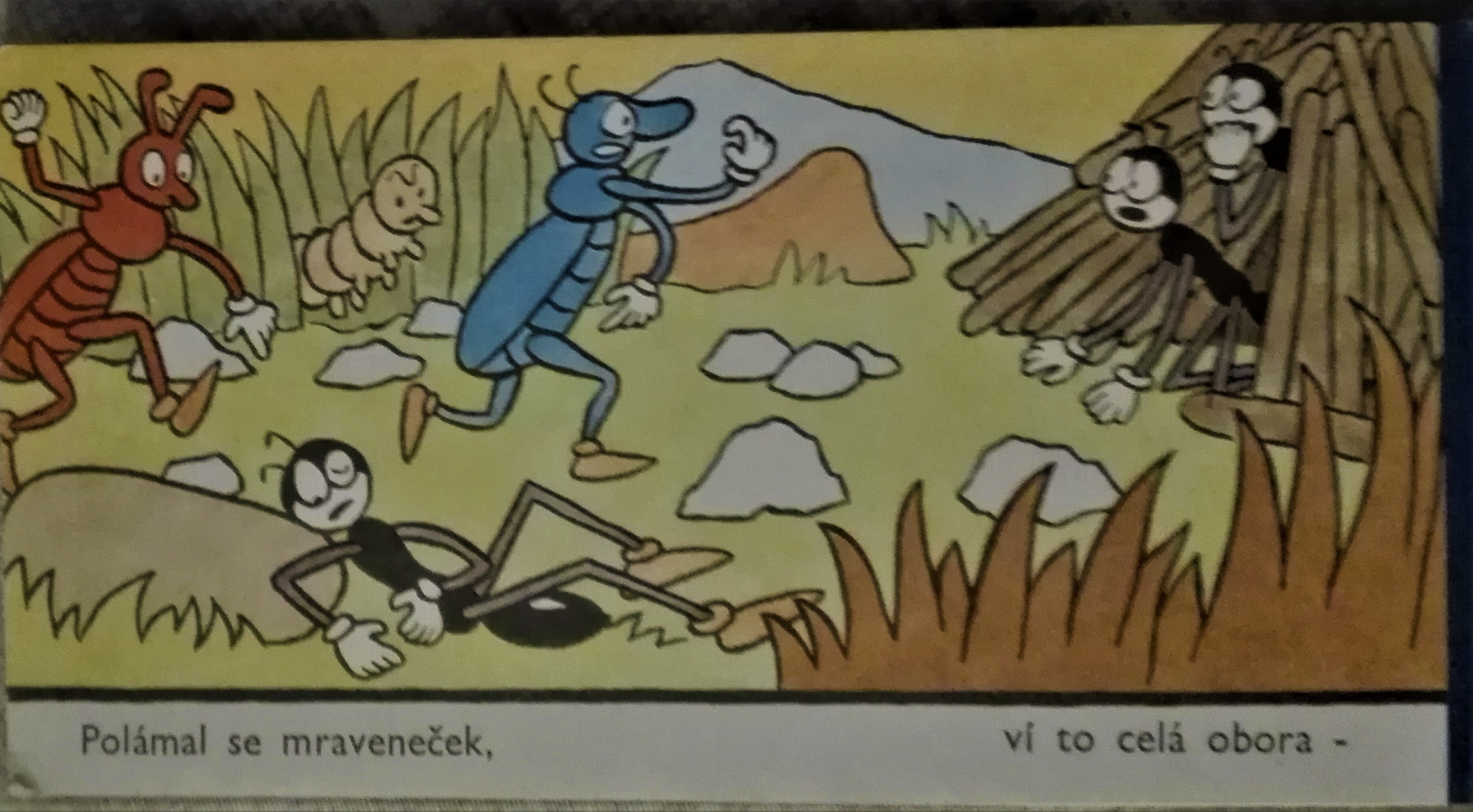 Polámal se mraveneček