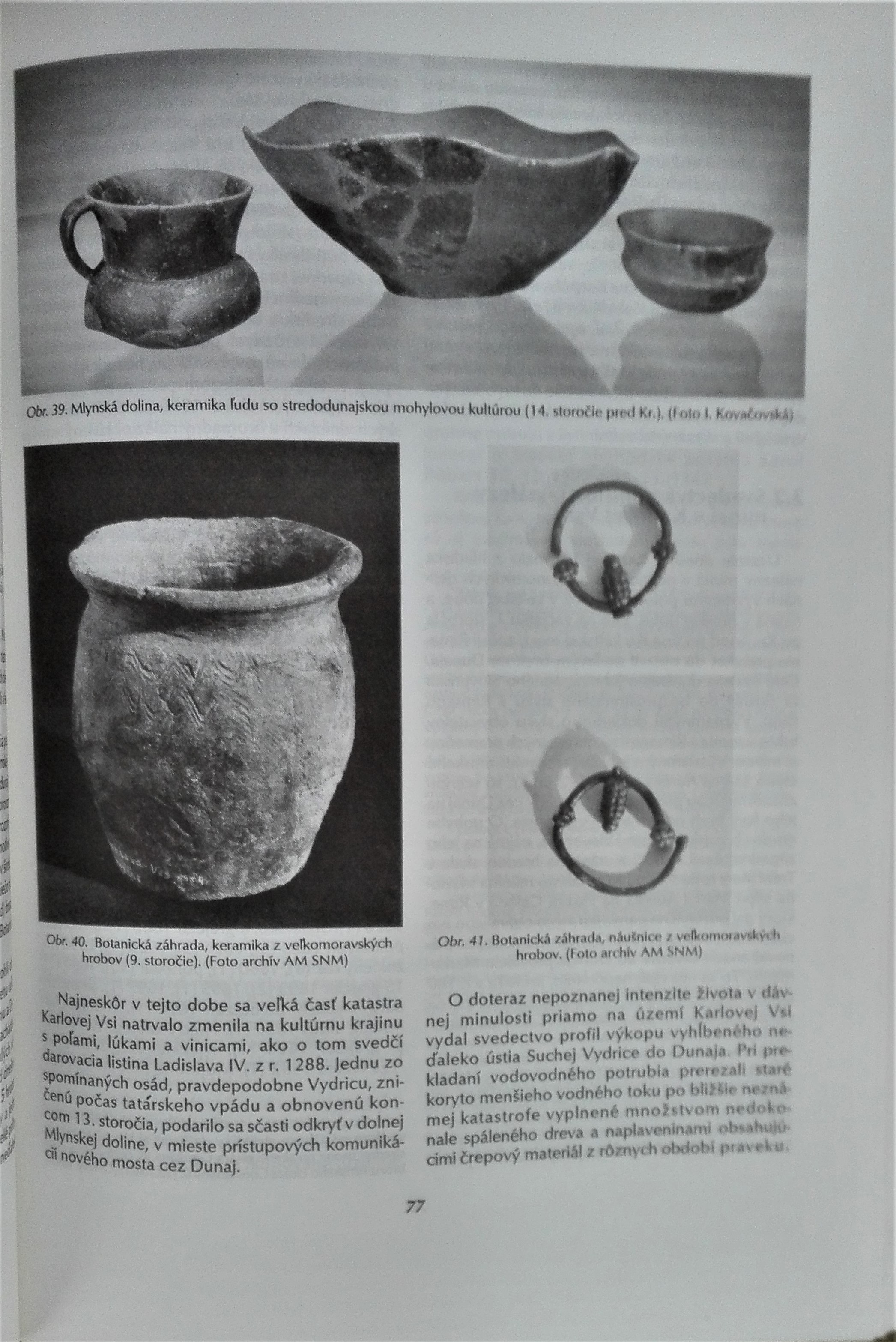 Karlova Ves (vlastivedná monografia)