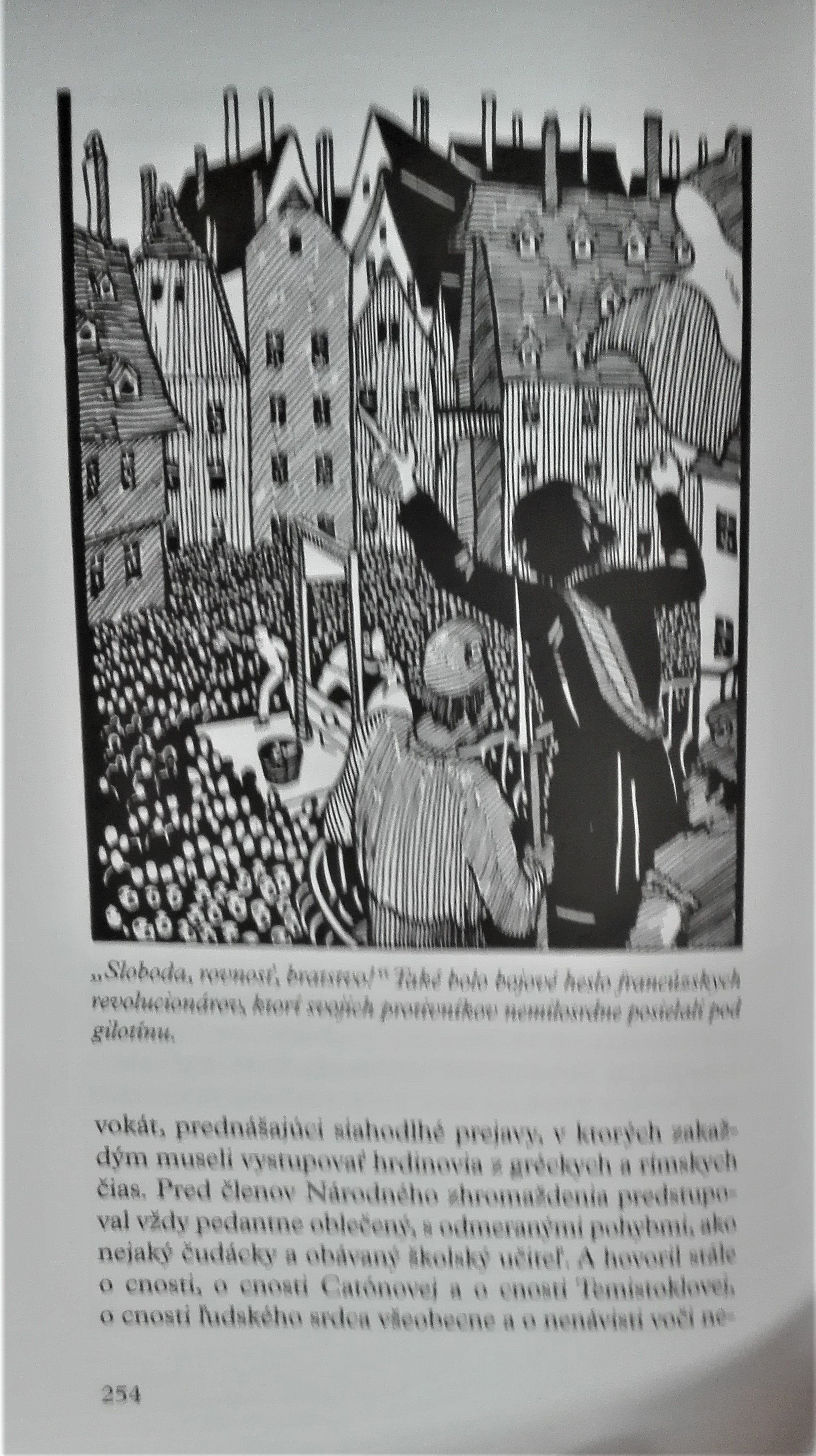 Stručné dejiny sveta pre mladých čitateľov