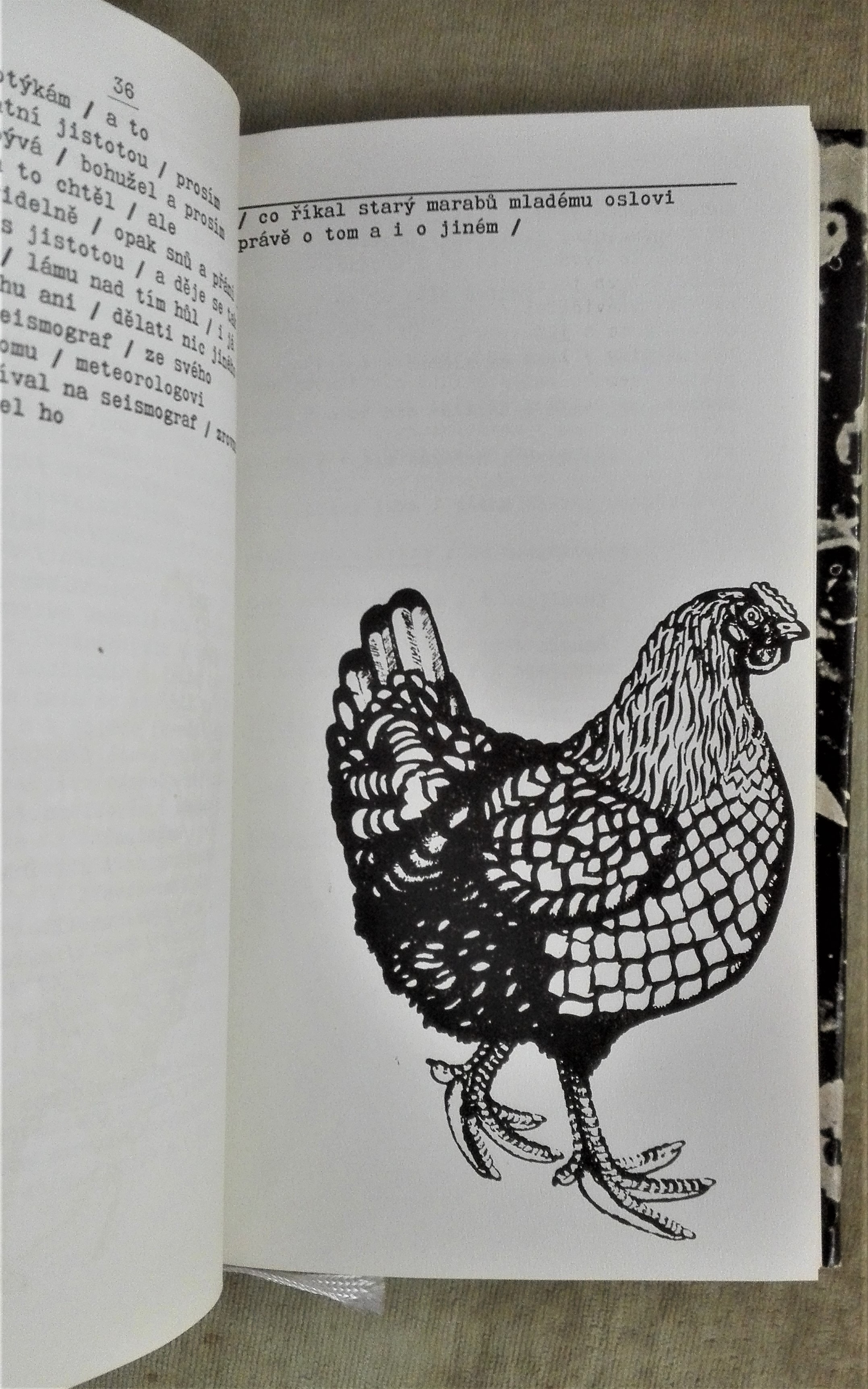 Co jsem viděl a slyšel v trávě