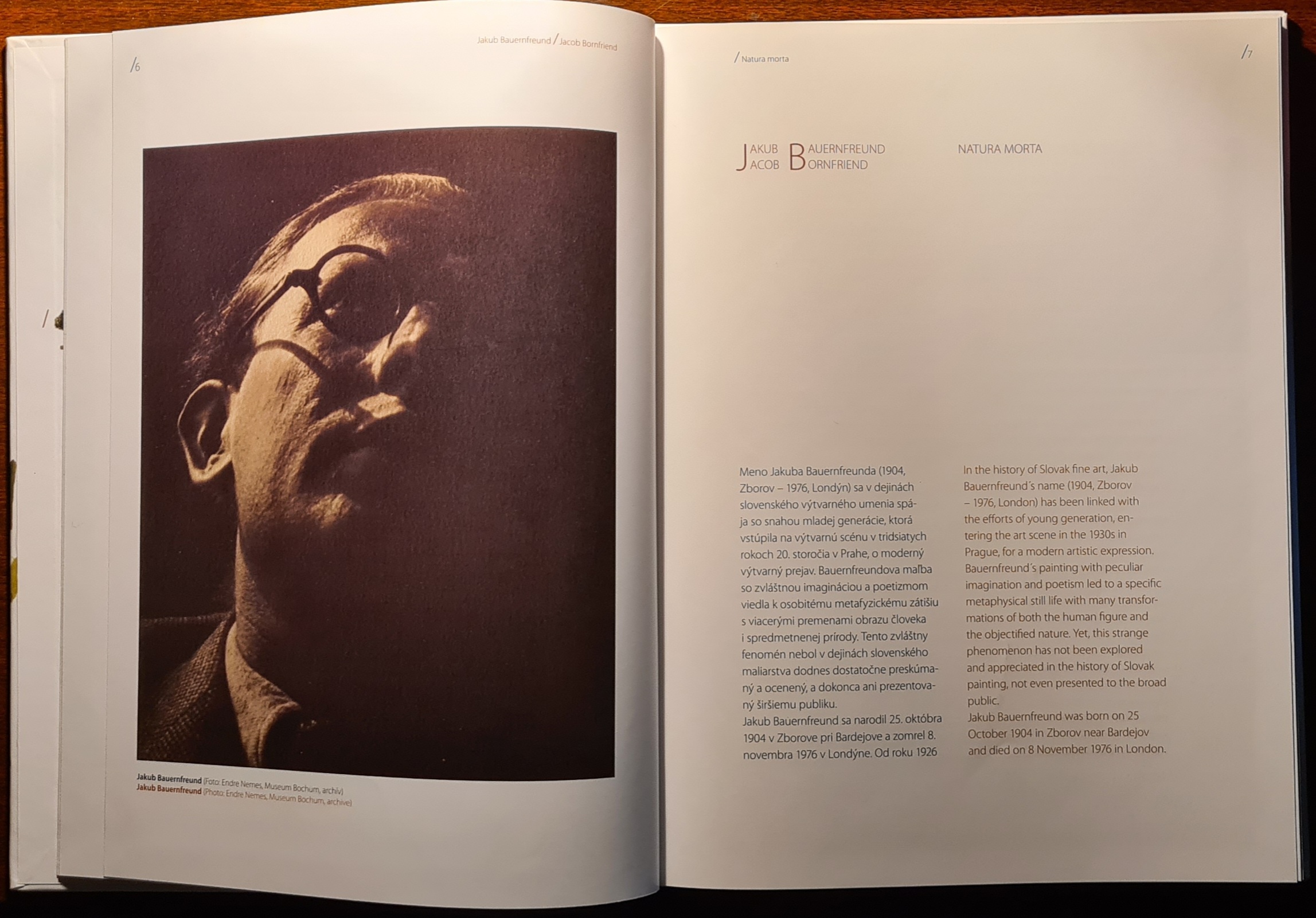 Jakub Bauernfreund / Natura Morta