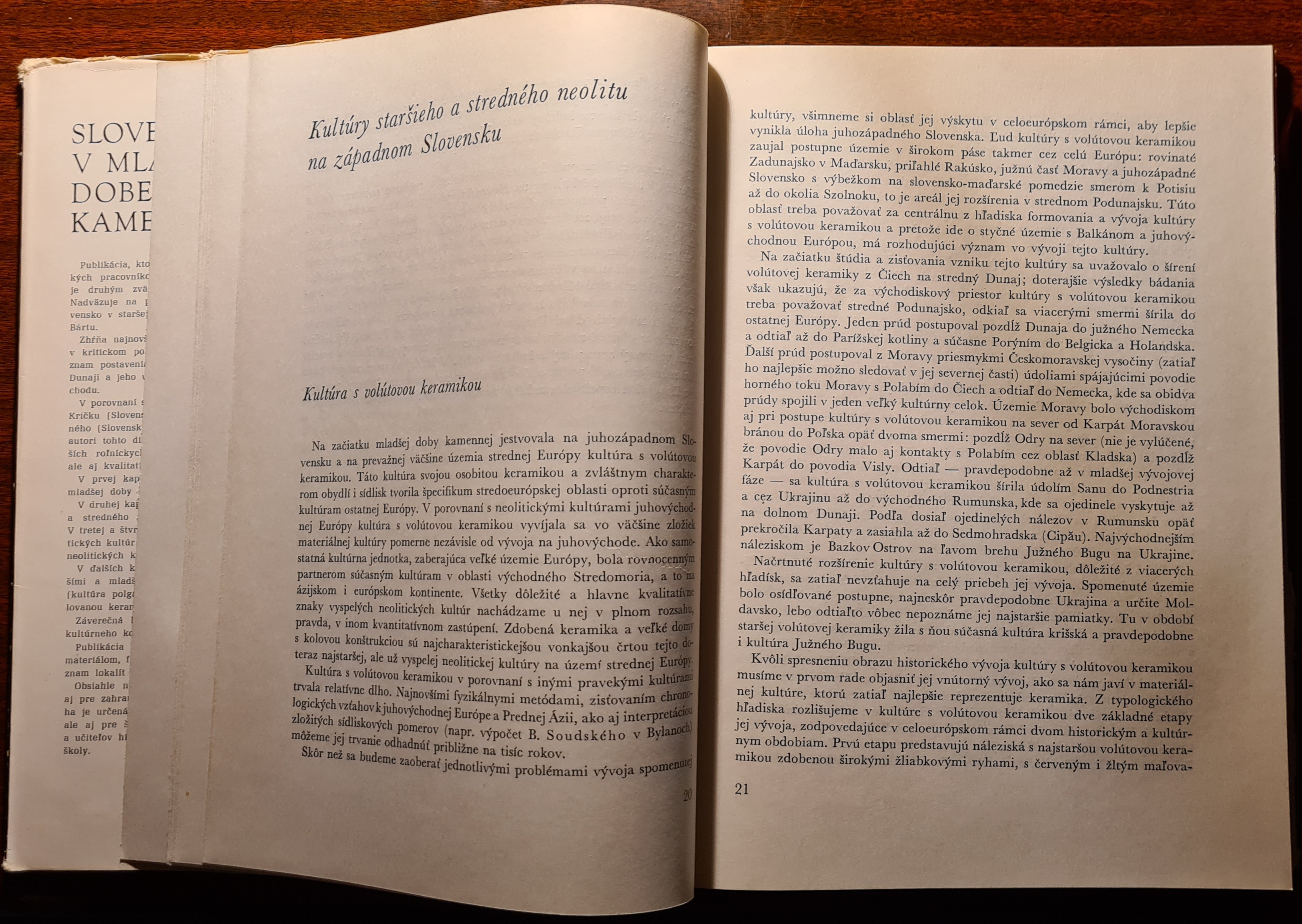 Slovensko v mladšej dobe kamennej