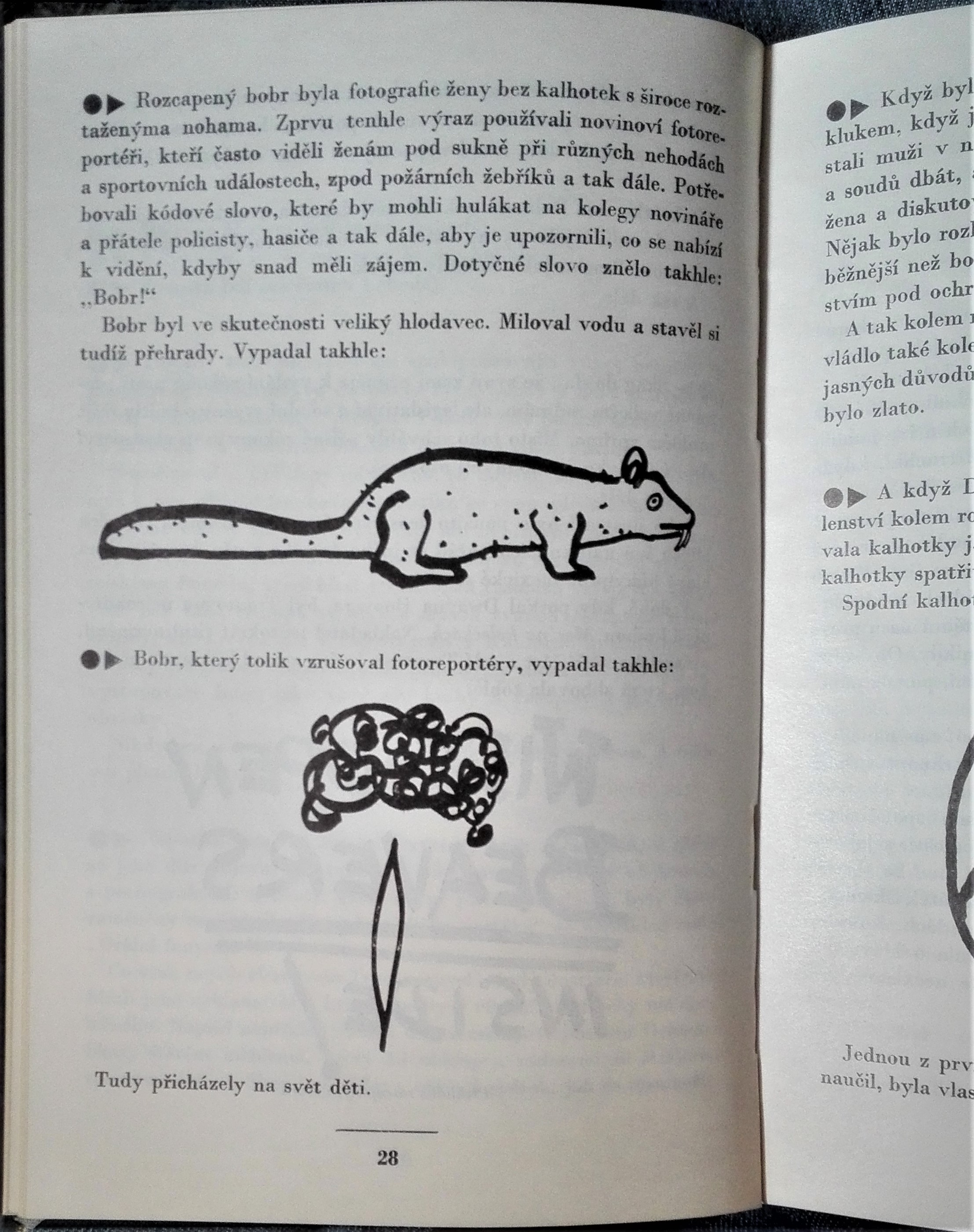 Snídaně šampionů