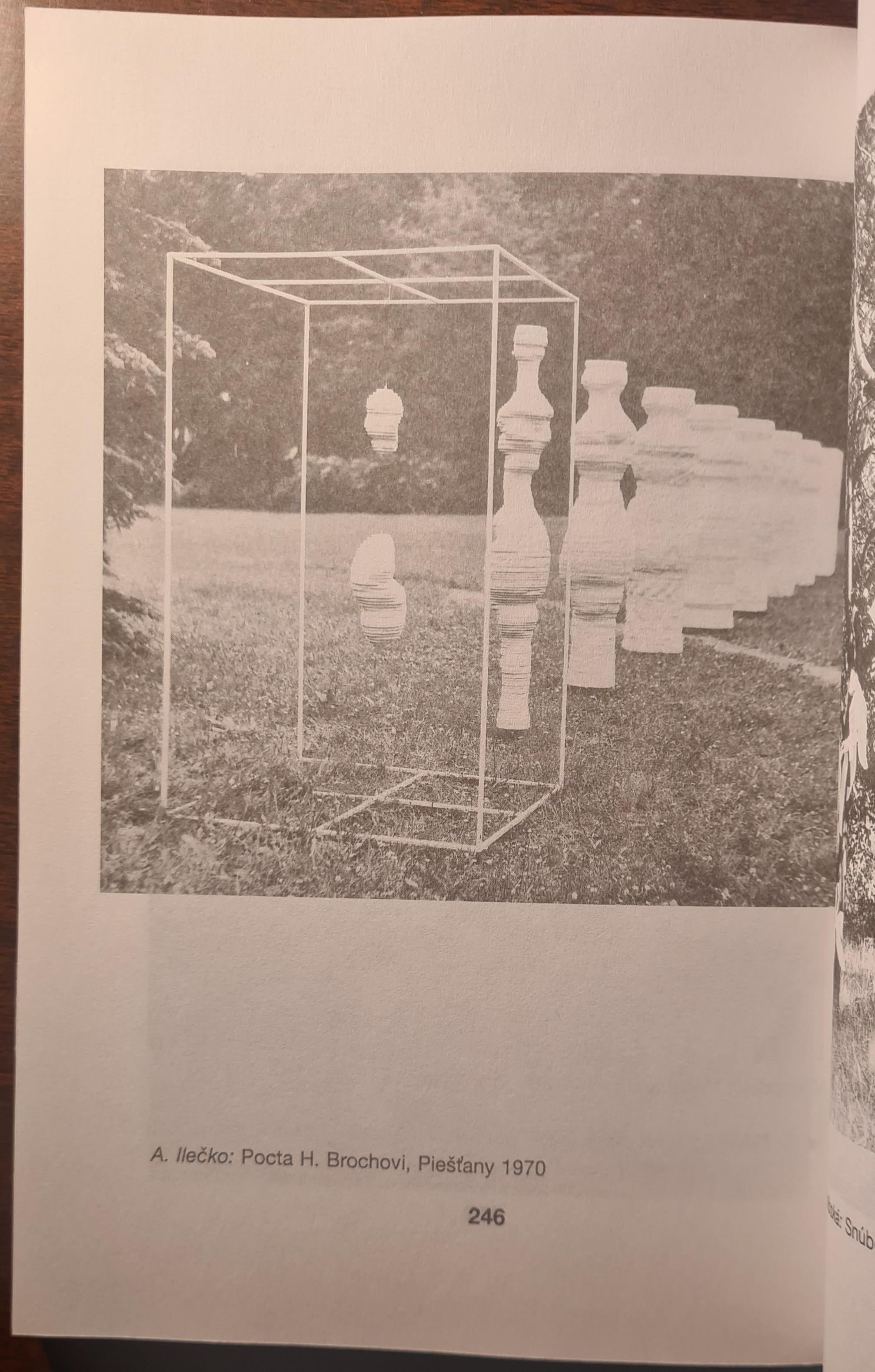 Slovenský variant moderny