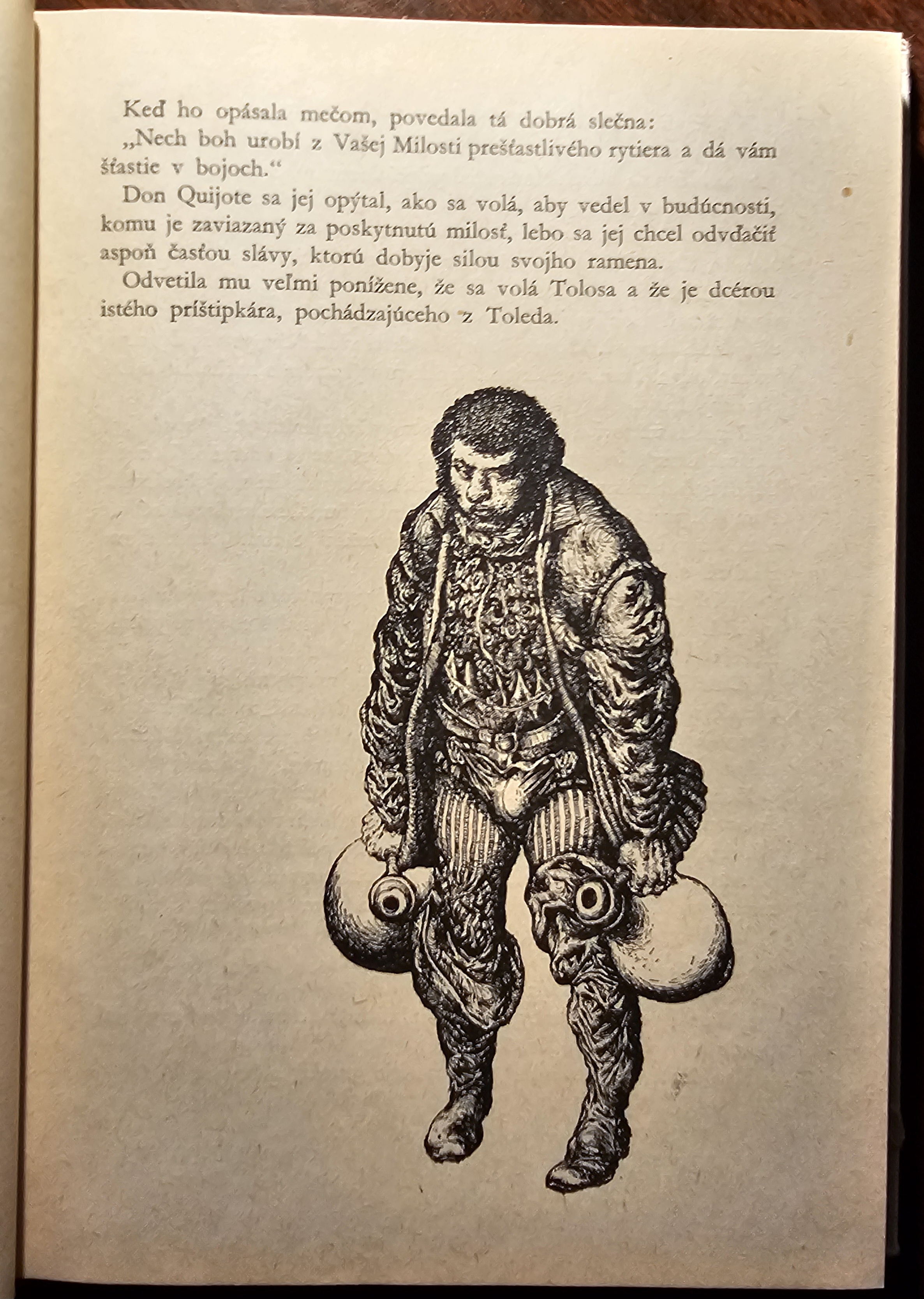 Dômyselný rytier Don Quijote de la Mancha