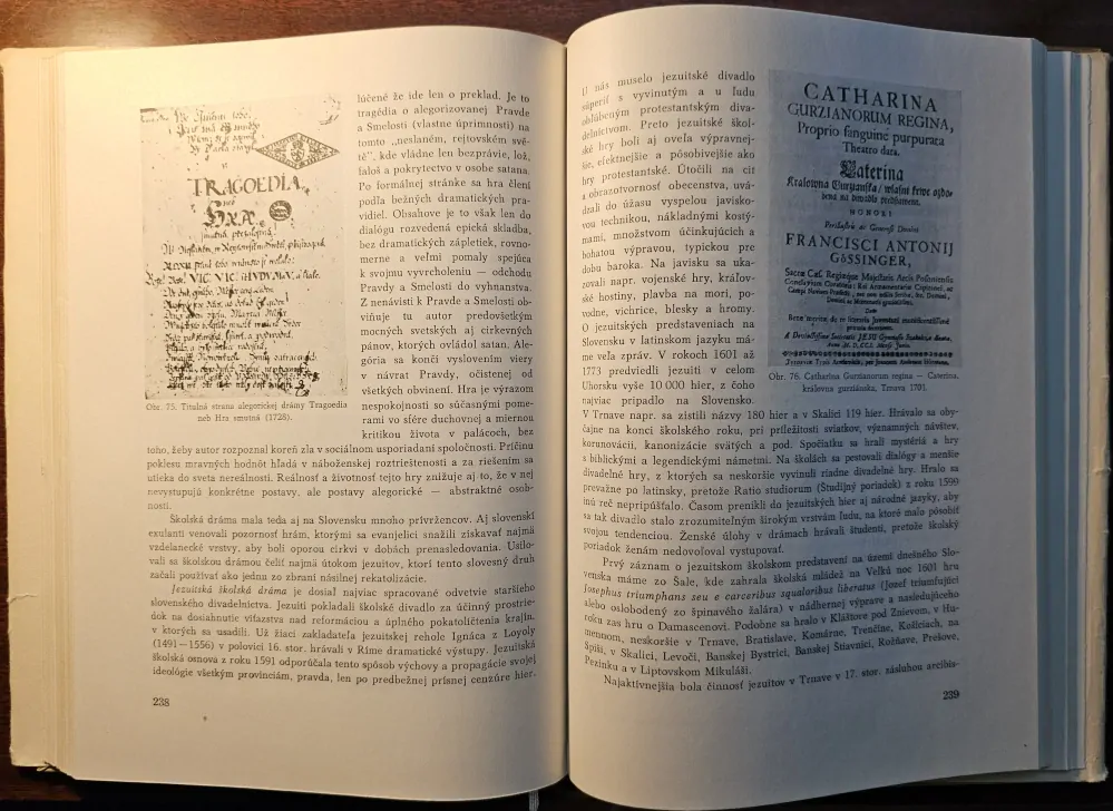 Dejiny staršej slovenskej literatúry