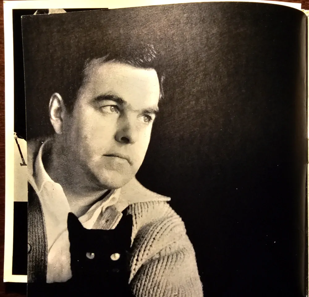 Čestmír Pechr: Plagáty