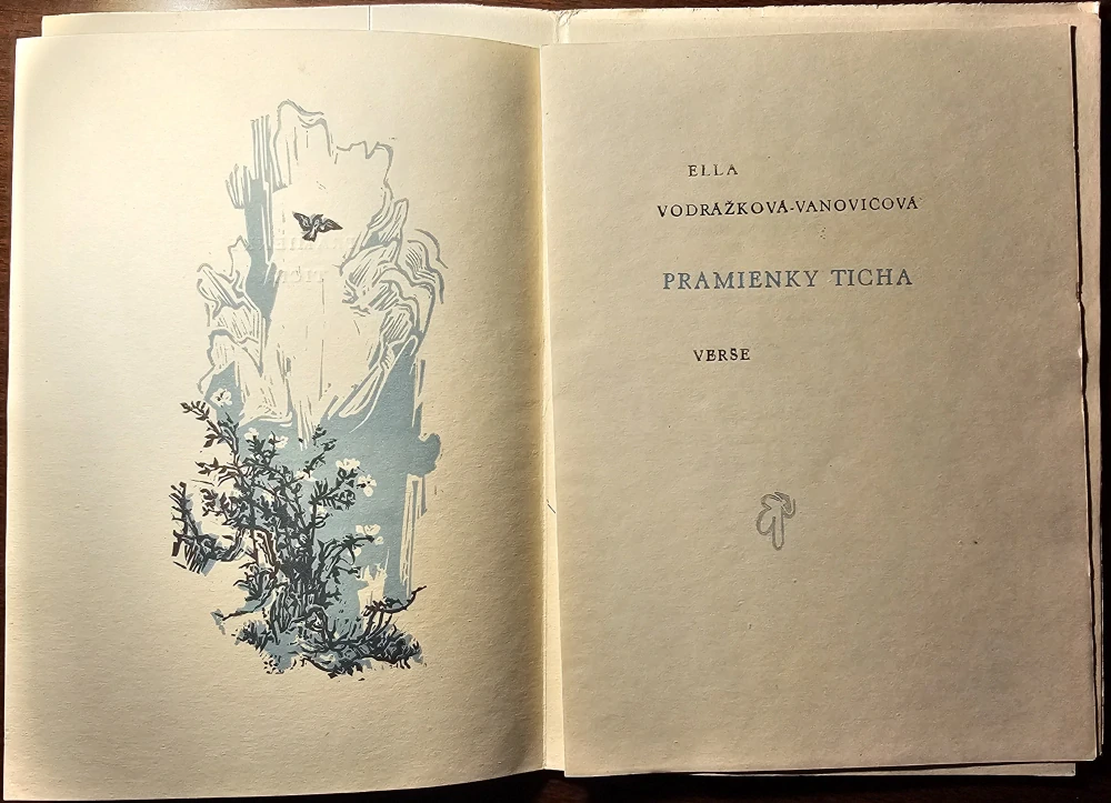Pramienky ticha