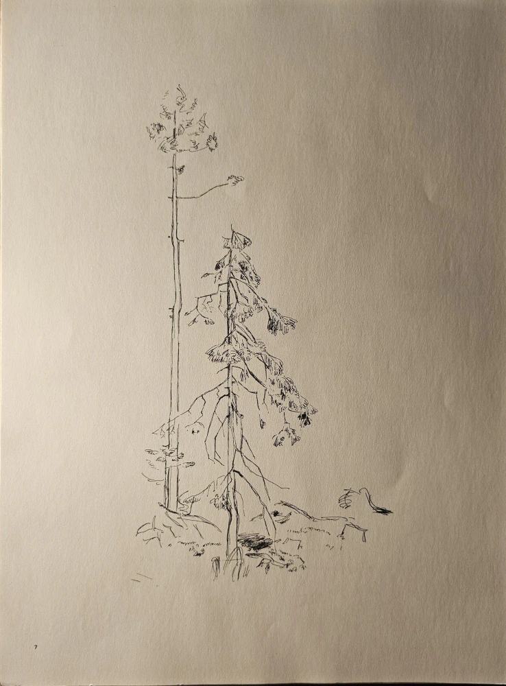 Emil Makovický: Vývraty