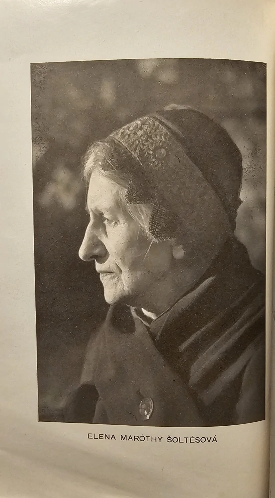 Začatá cesta (Výbor z článkov E. Šoltésovej)