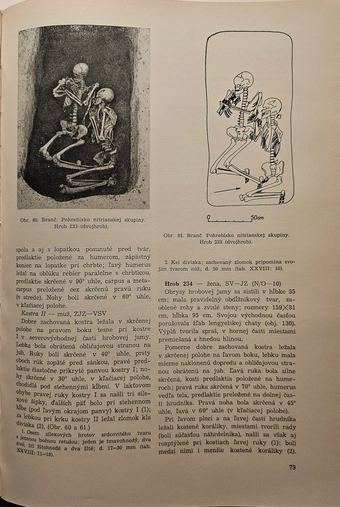 Pohrebiská zo staršej doby bronzovej v Branči