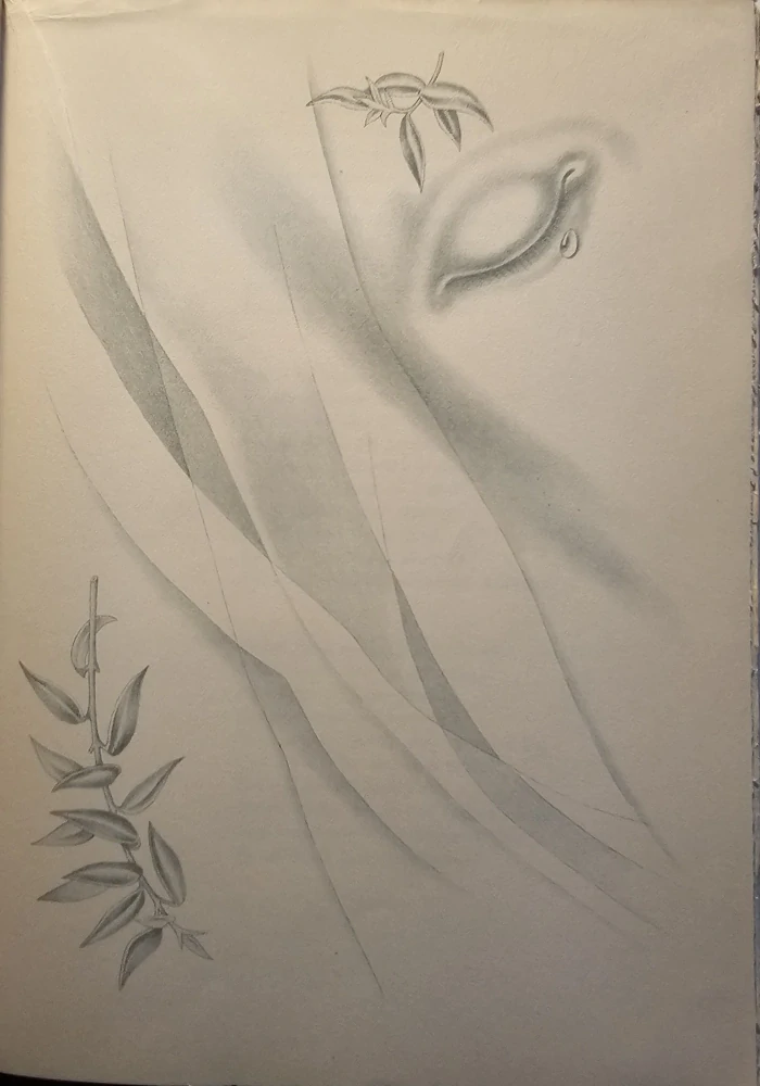 Marína (bibliofilské vydanie)