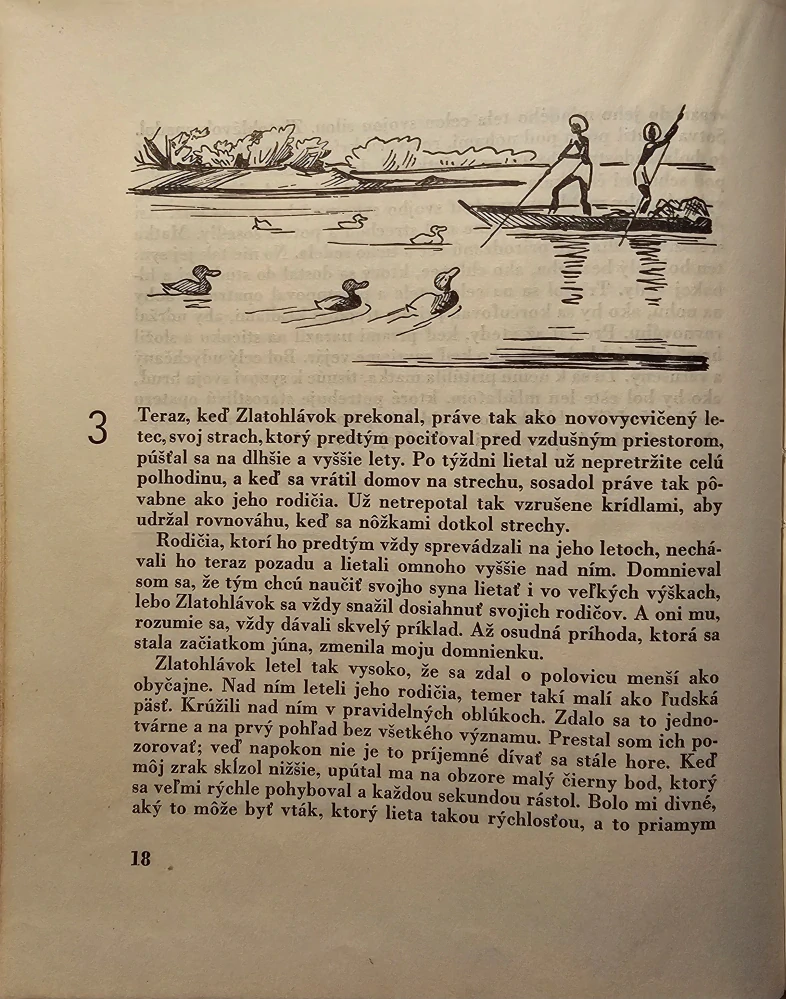 Zlatohlávok (hrdinský poštový holub)