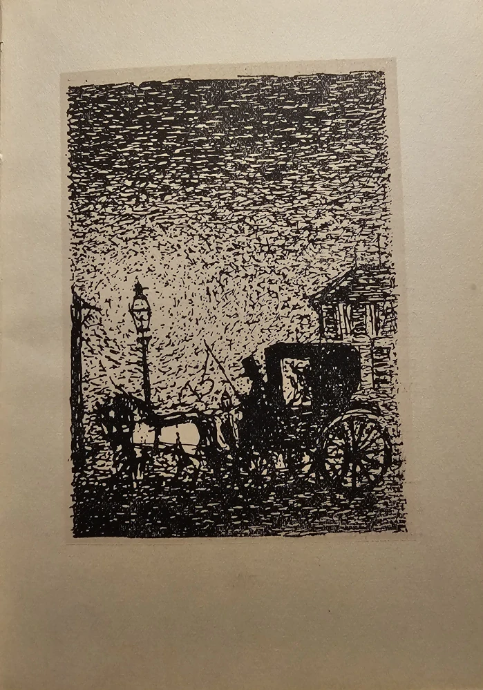 Pani Helène (kolibrík)