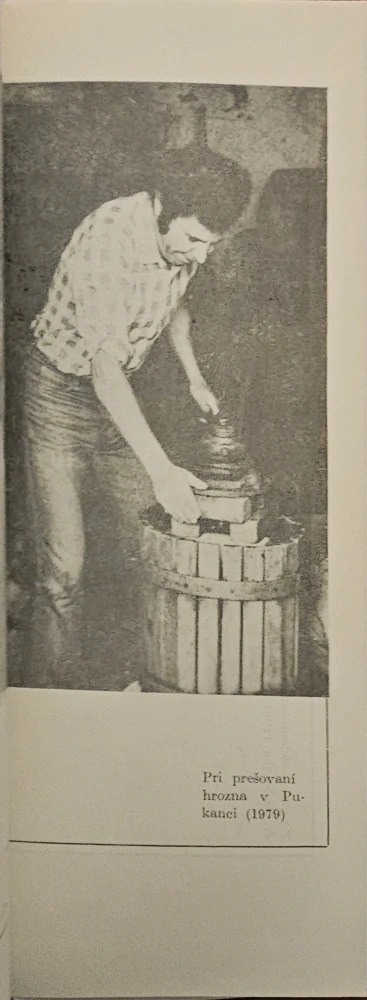 Domov v tvorbe Andreja Chudobu