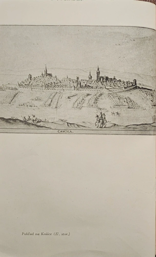 Uhorský simplicissimus