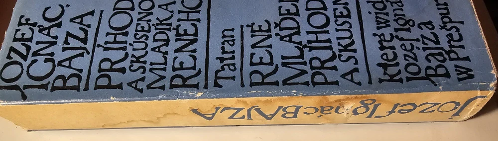 Príhody a skúsenosti mladíka Reného