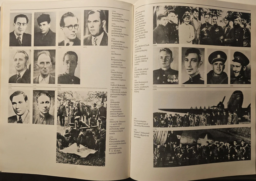 Dejiny slovenského národného povstania (I.-V.)