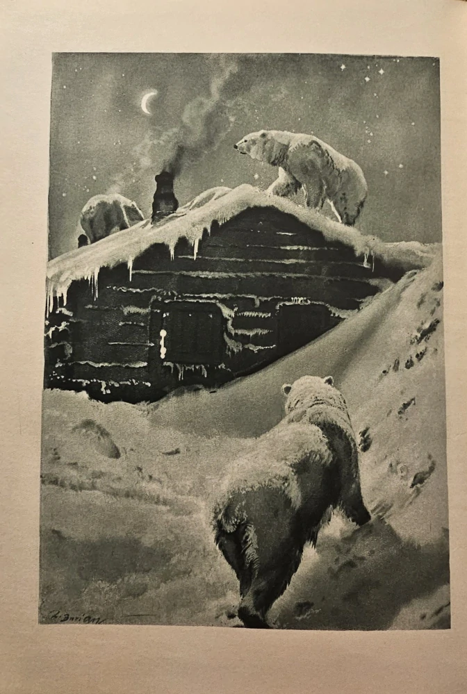 V krajine kožušín