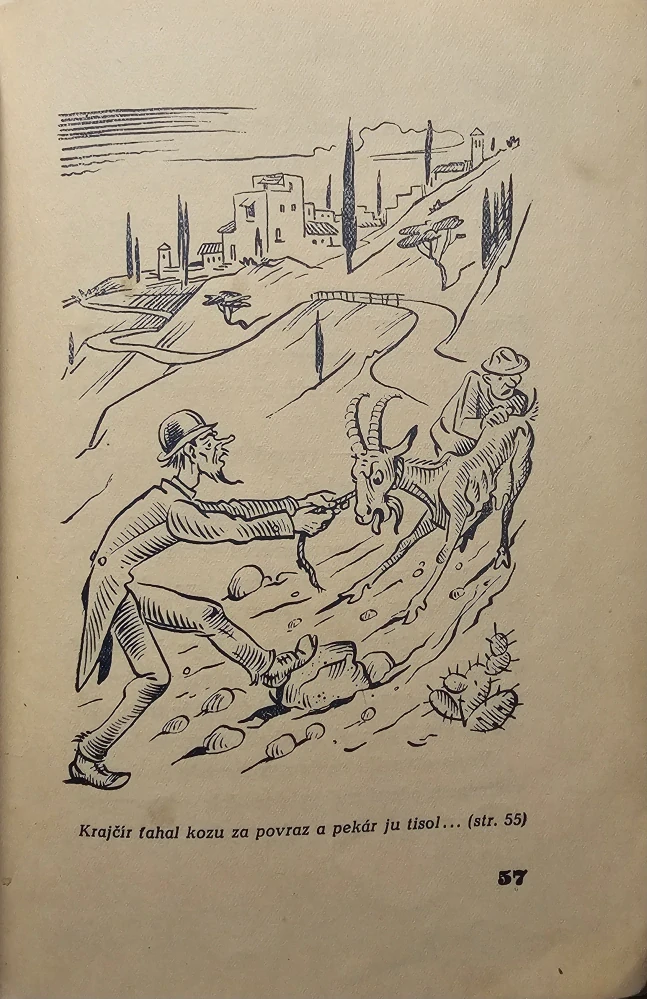 Evičkina cesta do nebíčka