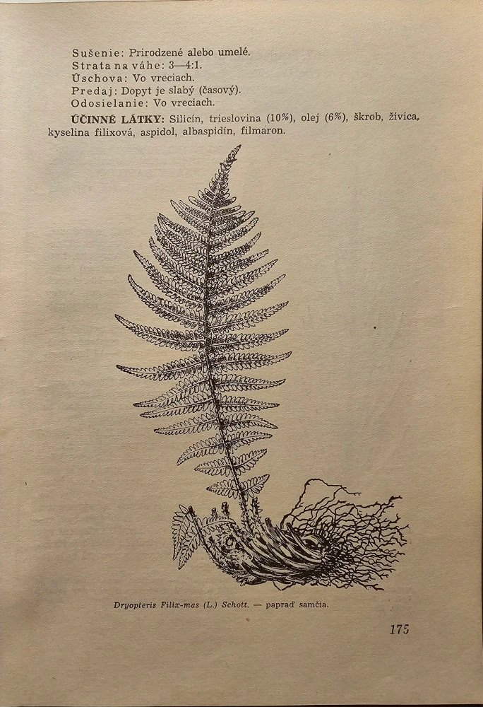 Slovenský herbár I. - II.