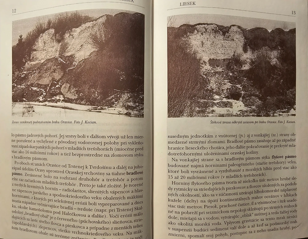 Liesek (V premenách času 1558-1998)