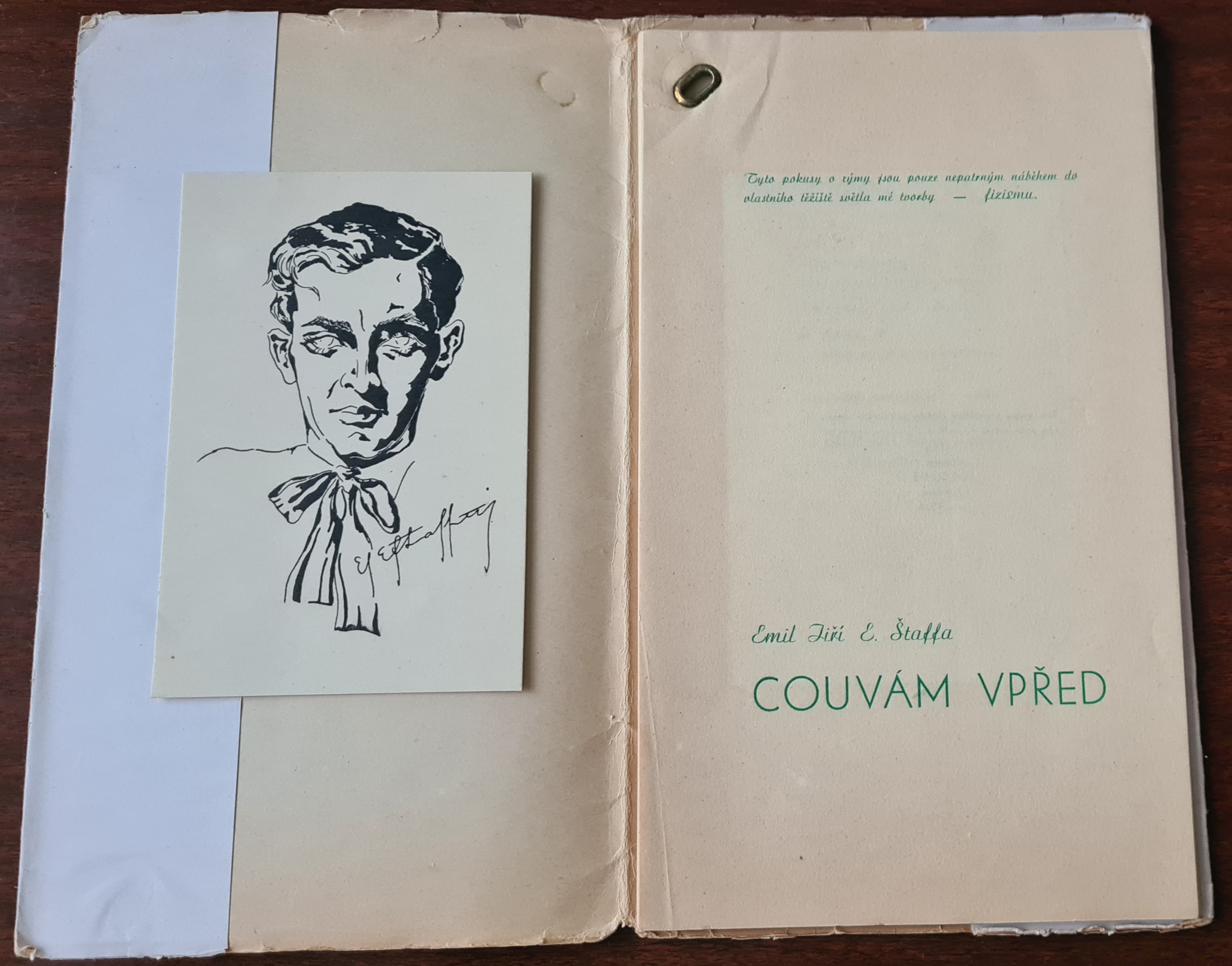 Couvám vpřed / básné jednoroku