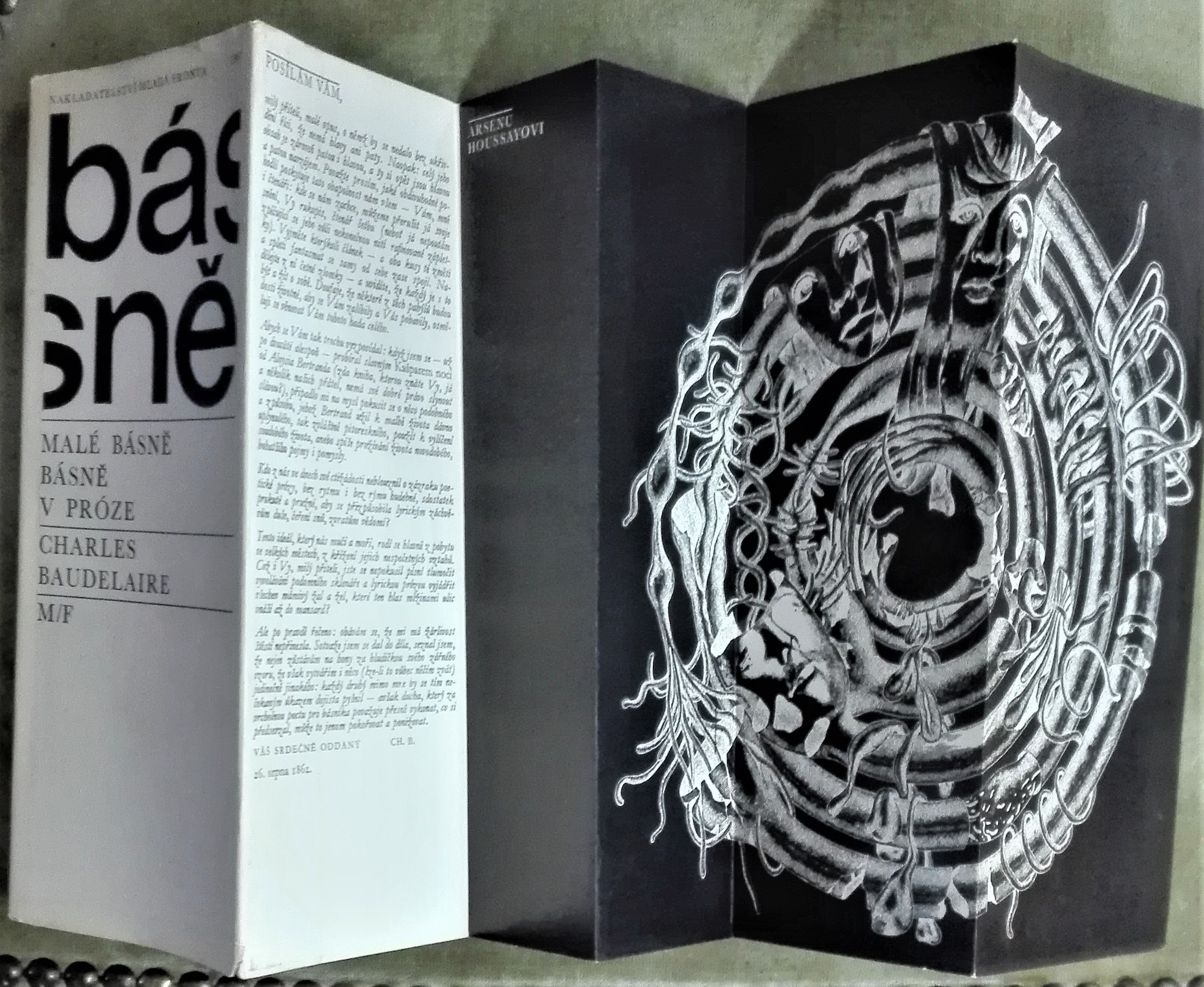 Malé básně v próze