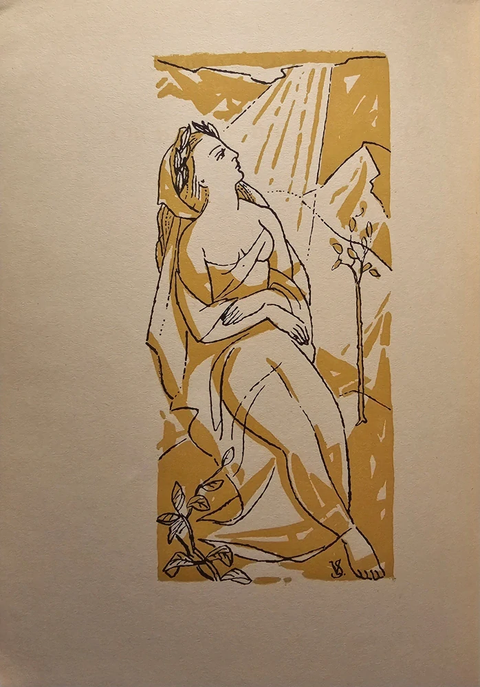 Svetlo nad horami /s podpisom 