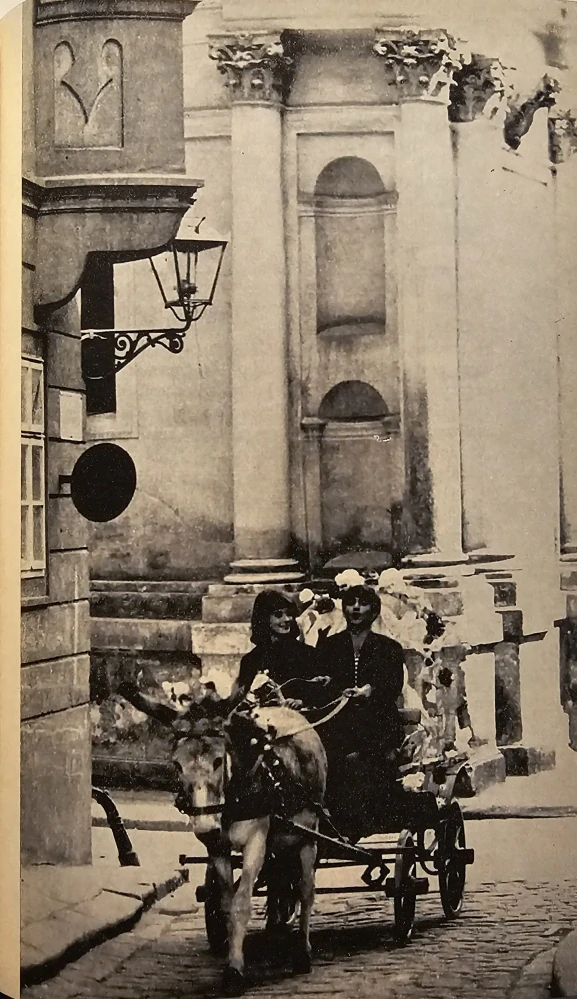 Panna zázračnica (Literárny scenár)