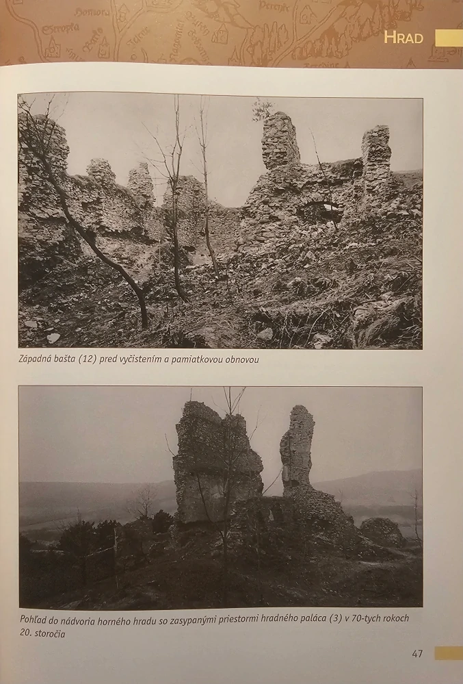 Divín (svedkovia histórie)
