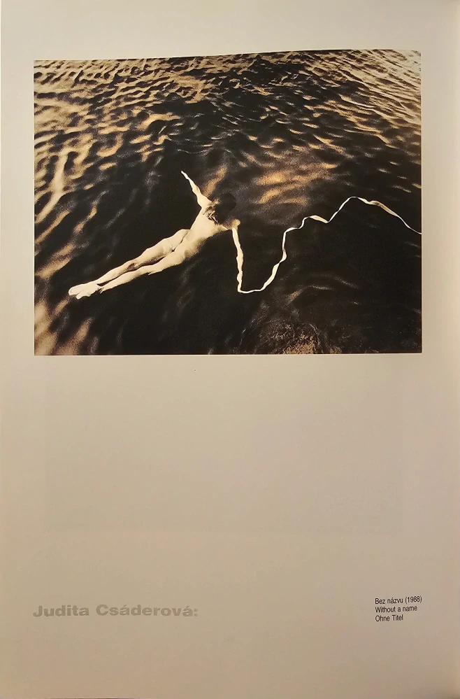 Súčasná slovenská fotografia /s podpisom