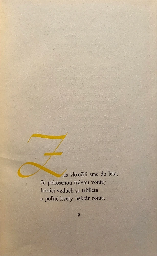 Návšteva /s podpisom