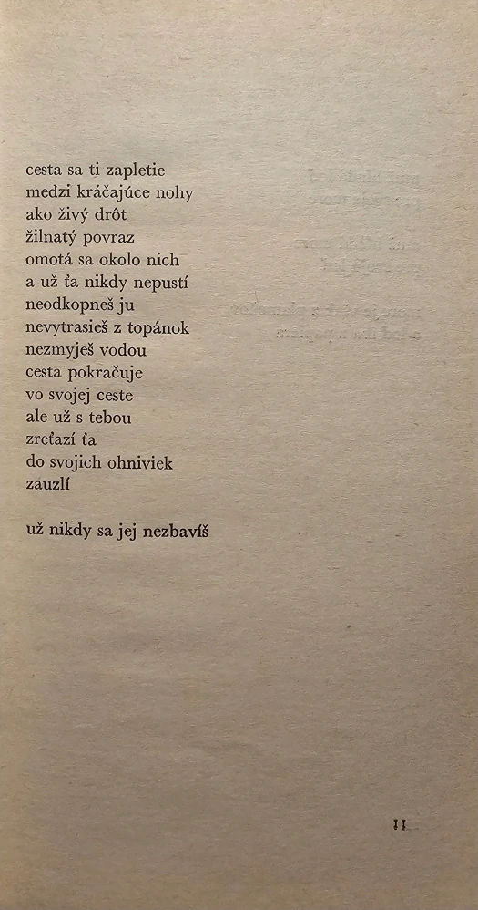 Muž hľadá more