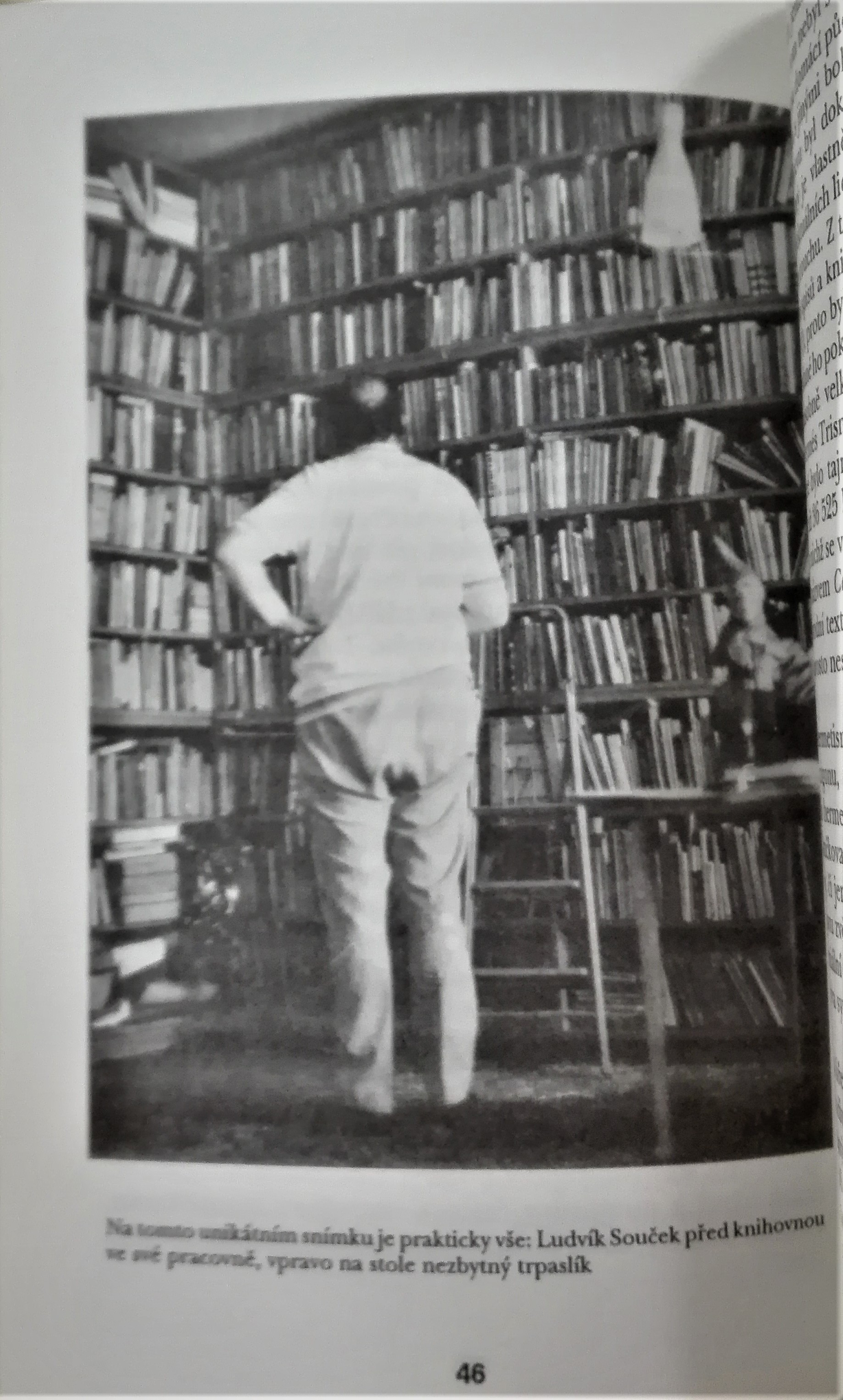 Po stopách bludiček