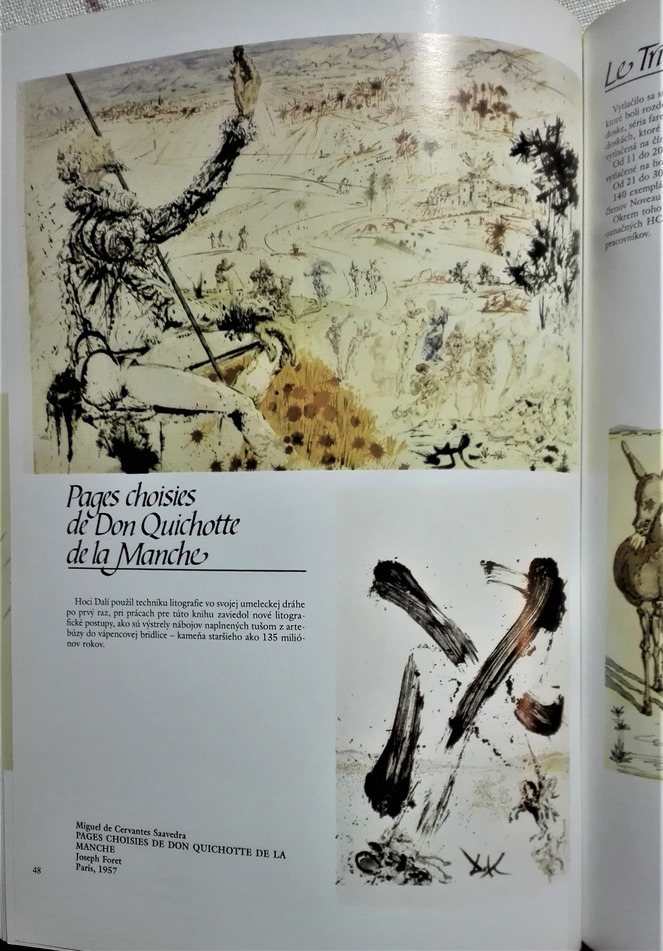 Dalí a knihy
