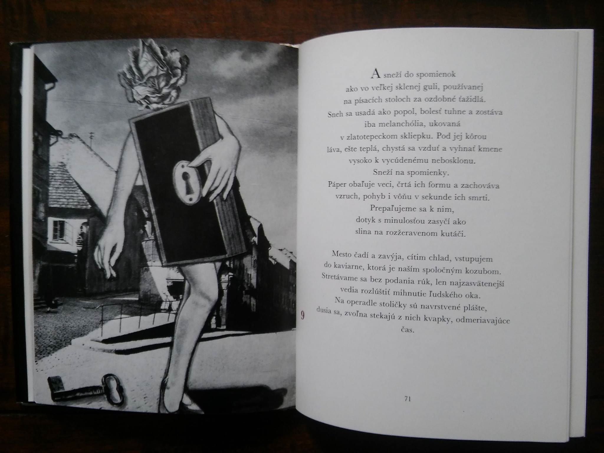 Múza oblieha Tróju /s podpisom