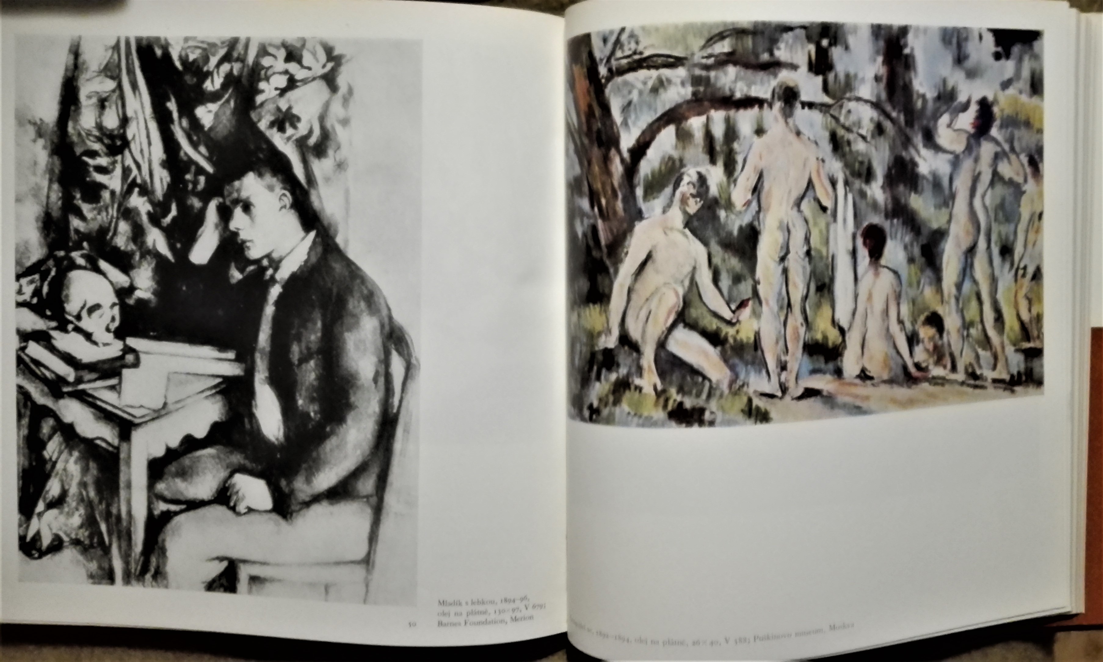 Cézanne - dopisy - svědectví přátel