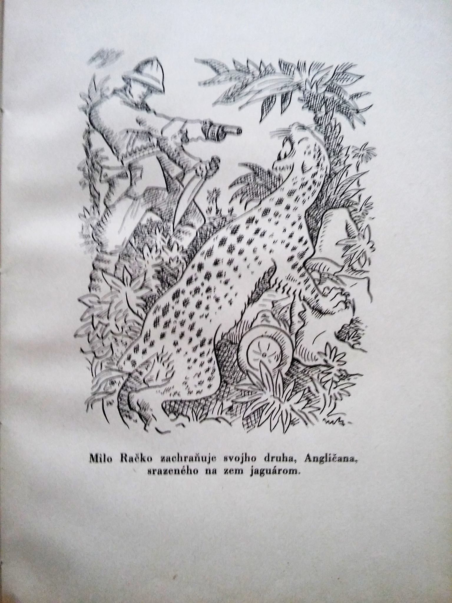Lovec jaguárov