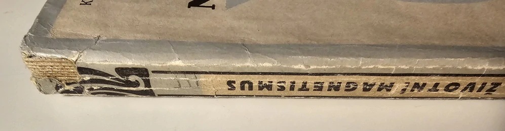 Životní magnetismus