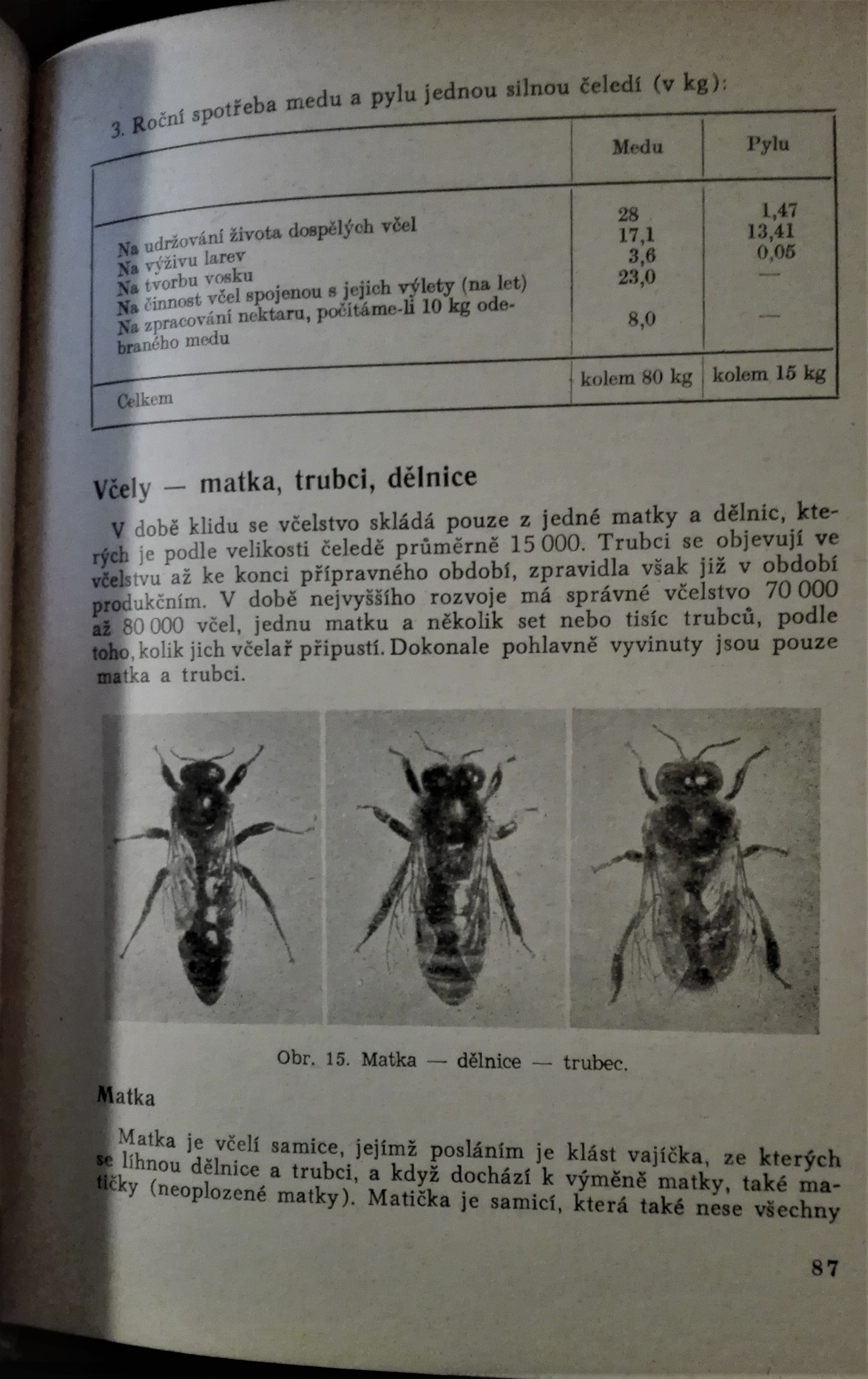 Včelařská encyklopedie