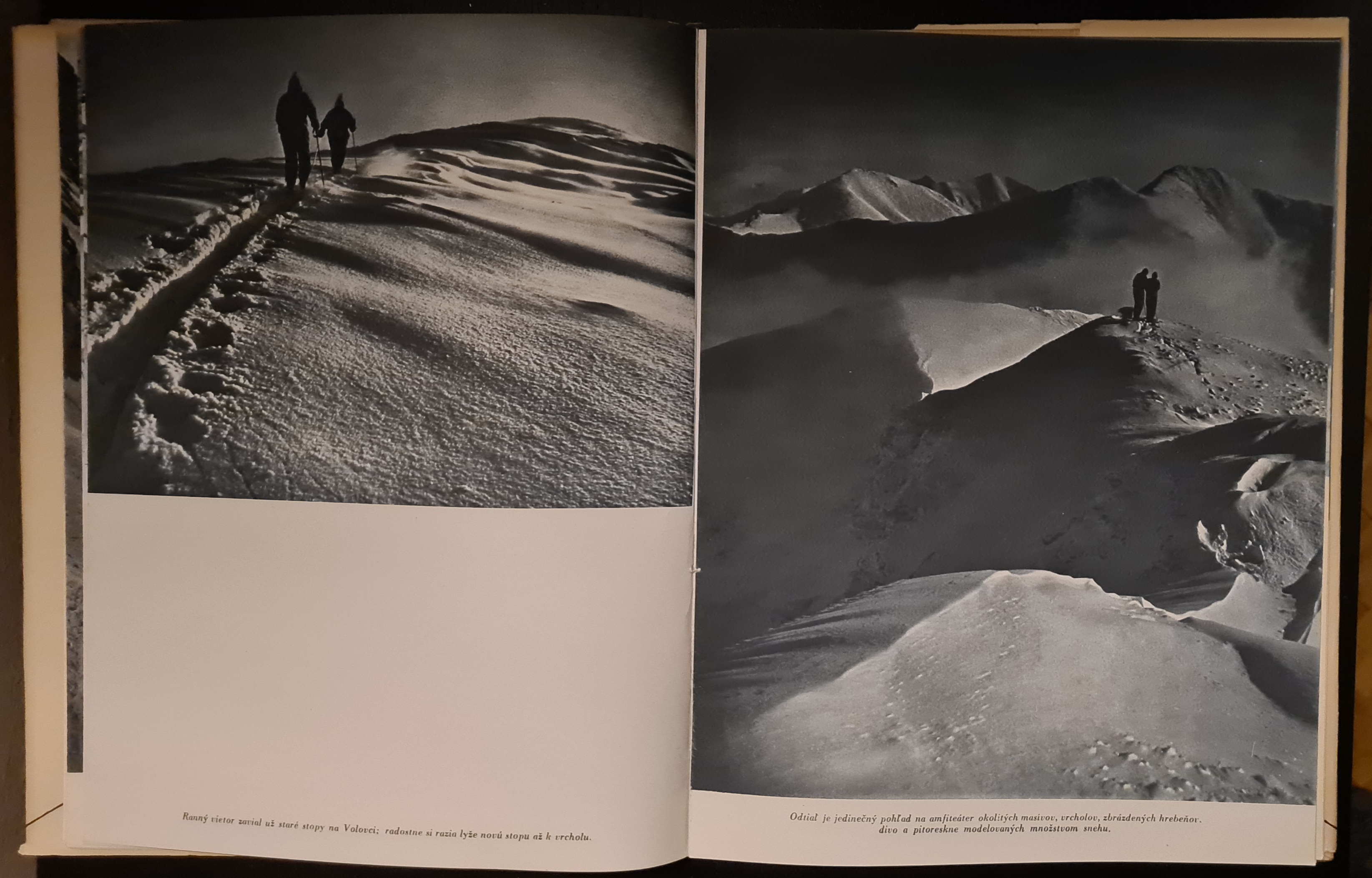 Roháče (Zima v lyžiarskom raji)