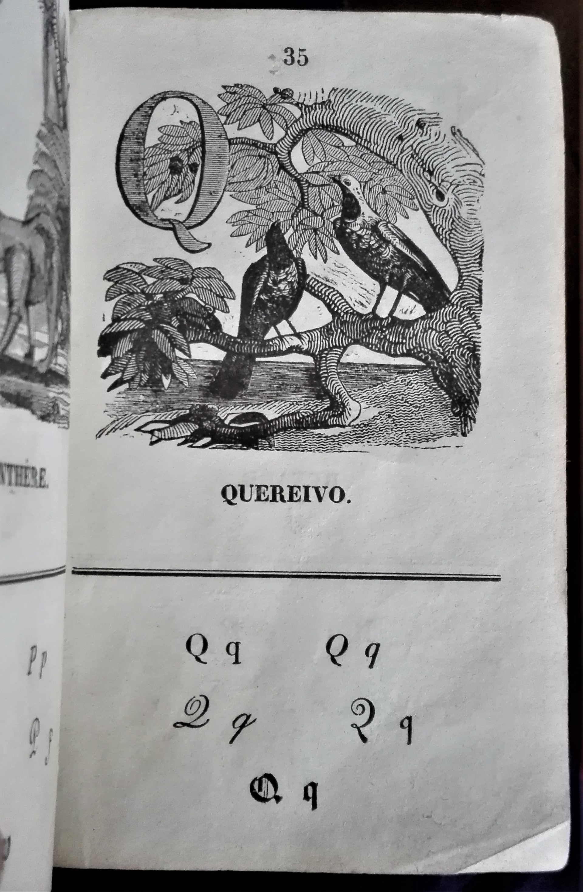 Lectures graduées pour les enfans  du premier age