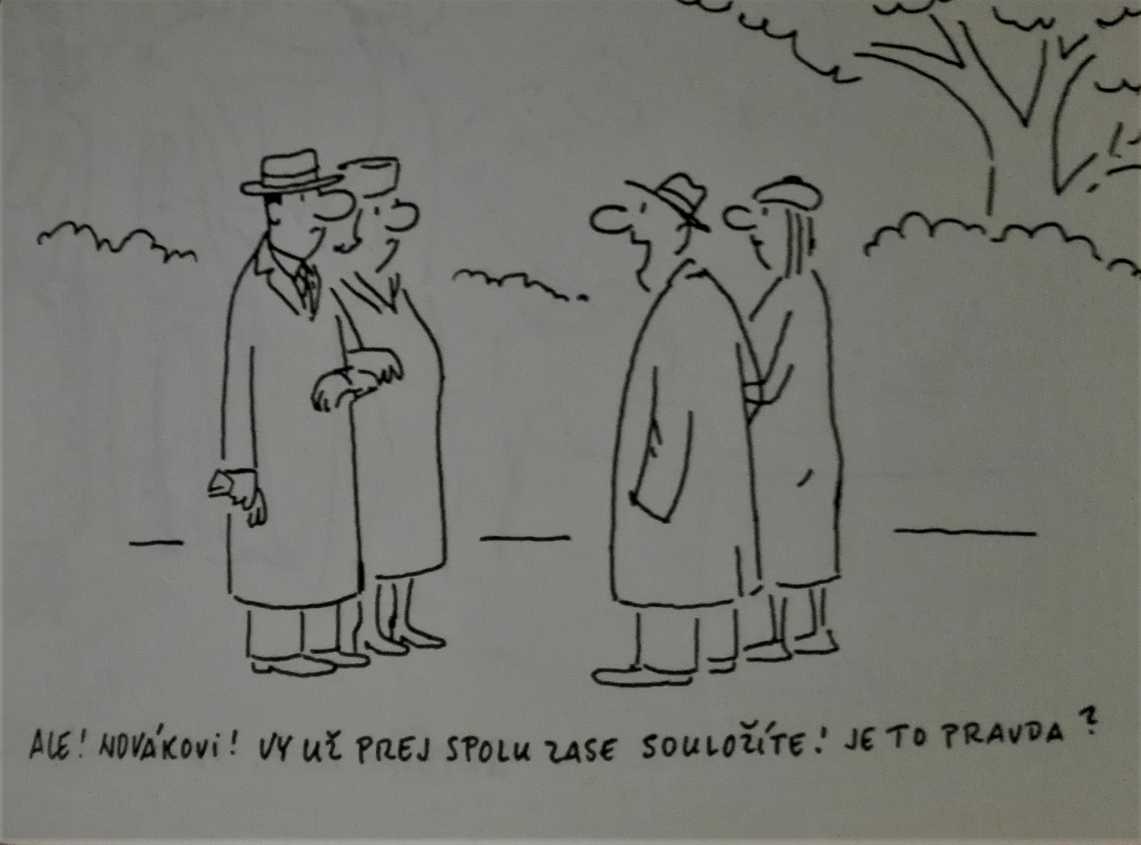 Knížka pro snílky