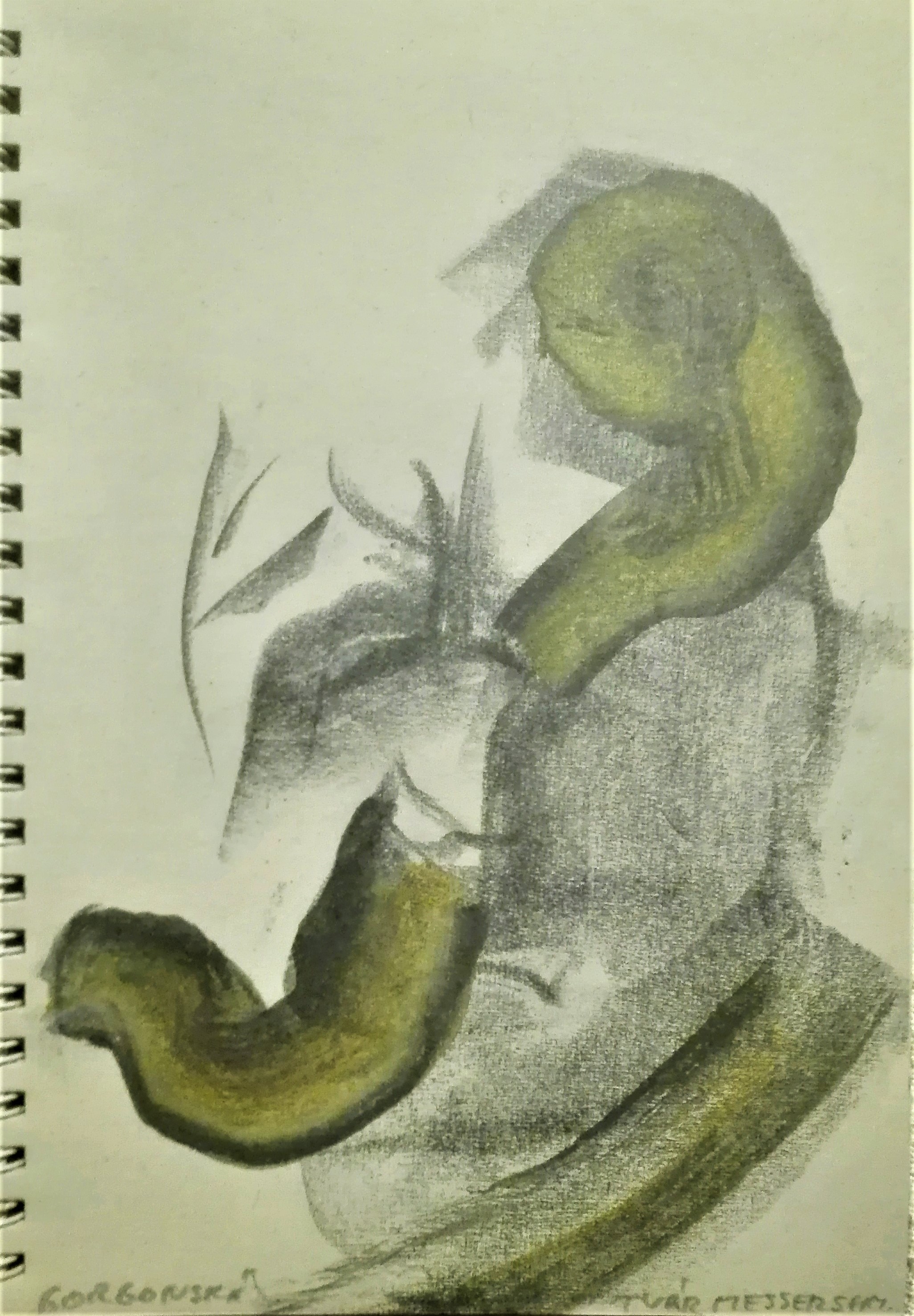 Rudolf Fila: Automatické kresby podľa plastík F. X. Messerschmidta