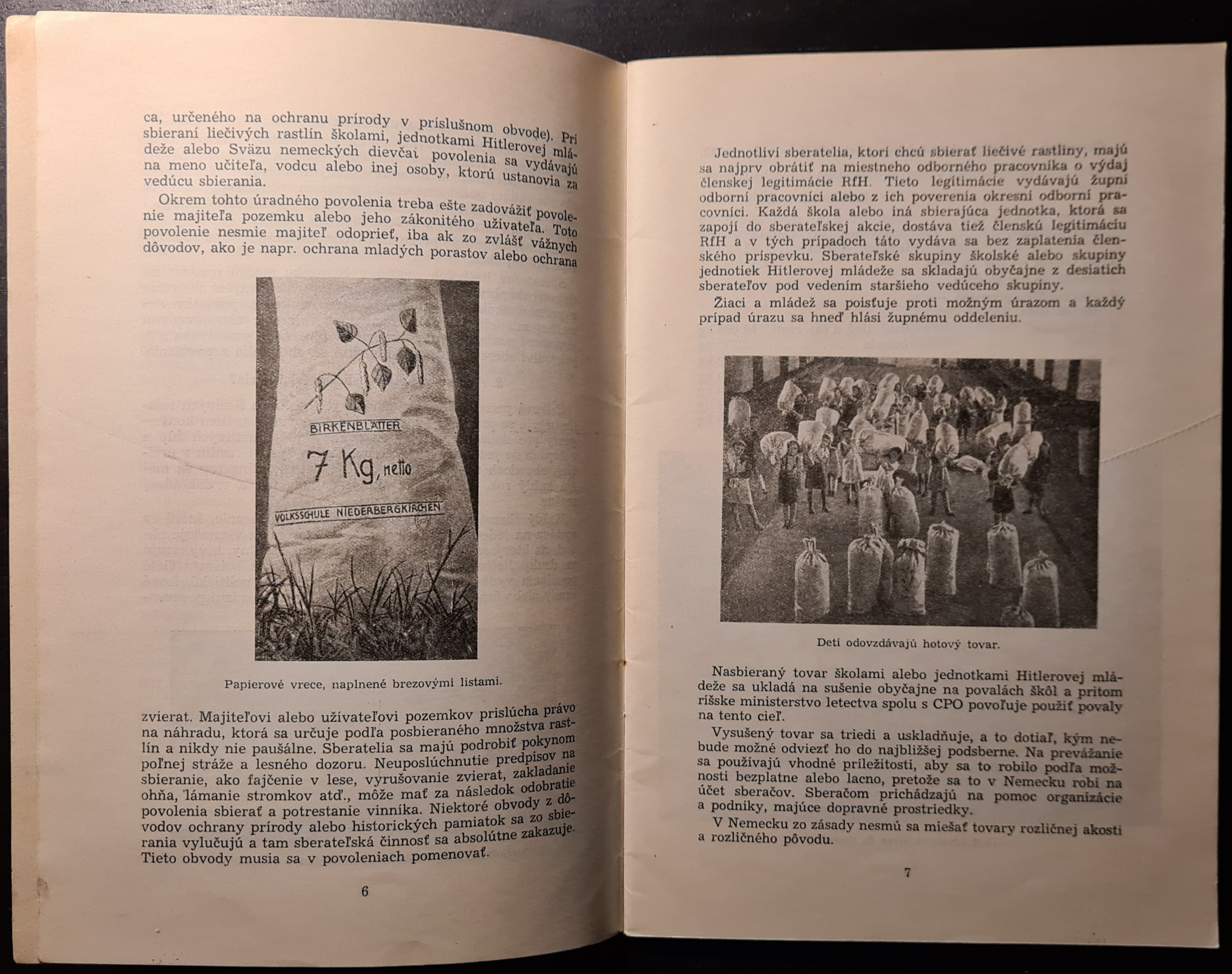 Slovenské liečivé rastliny (III. ročník / 1. sošit)